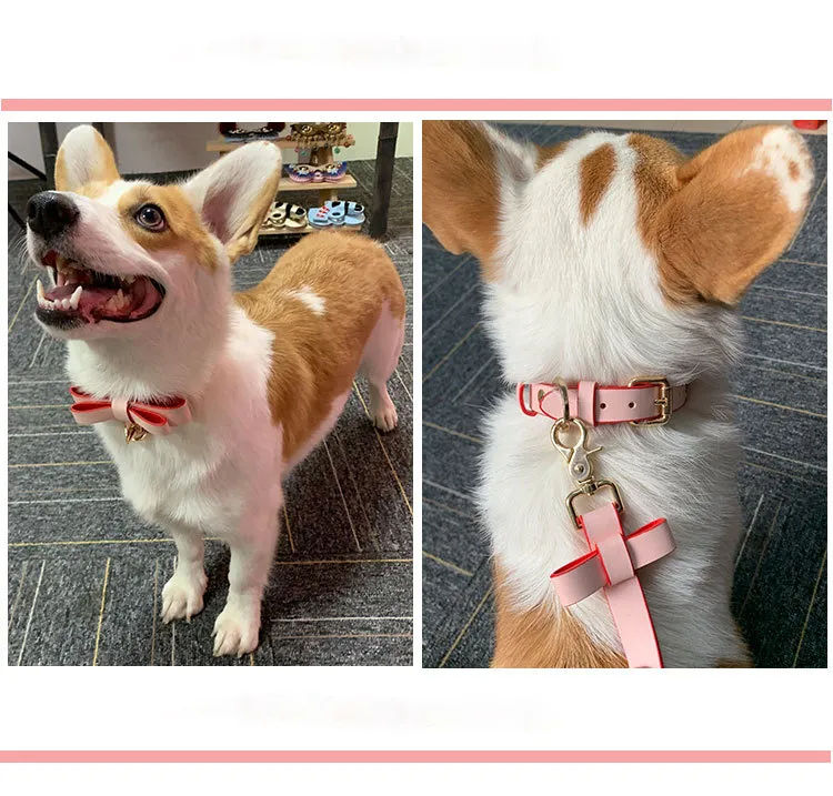 Luxury PU Leather Collar