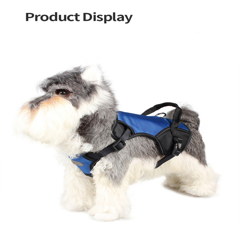 China Wholesale Pet Accessories Supplies Factory Custom Logo Retractable Training Lead Premium Rope Collar Polyester/Nylon Hook Dog Leash Vest Harness