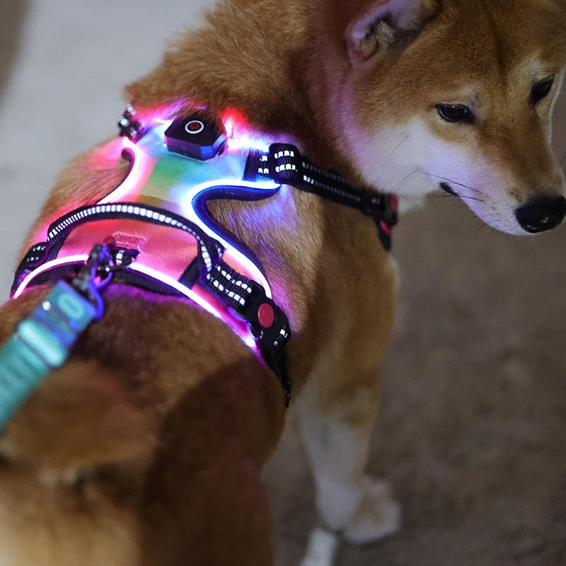 Custom Logo LED Dog Harness, USB Rechargeable No Pull Reflective Heavy Duty Dog Vest for Large Dogs, Light up Safety Pet Harness OEM/ODM