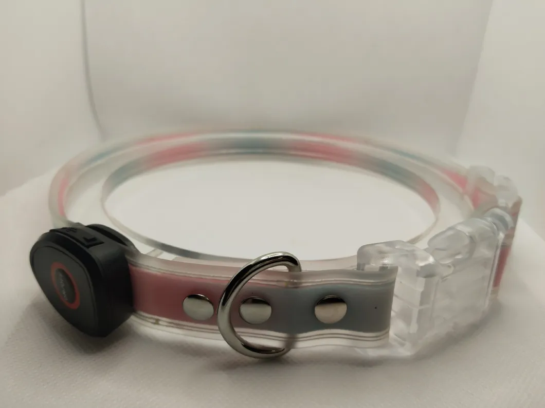 Glow-in-The-Dark LED Pet Collar 5