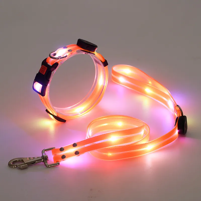 LED Dog Collar 6