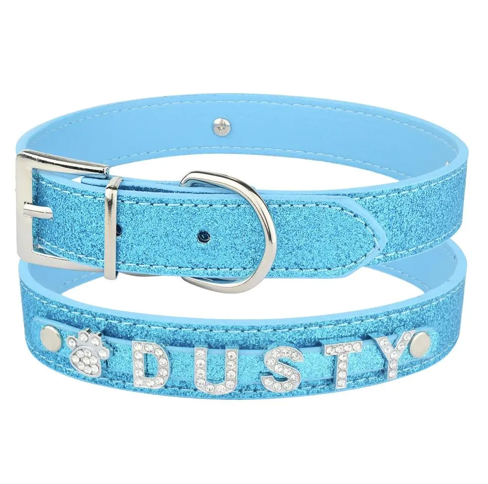 Personalized Dog Collar 9