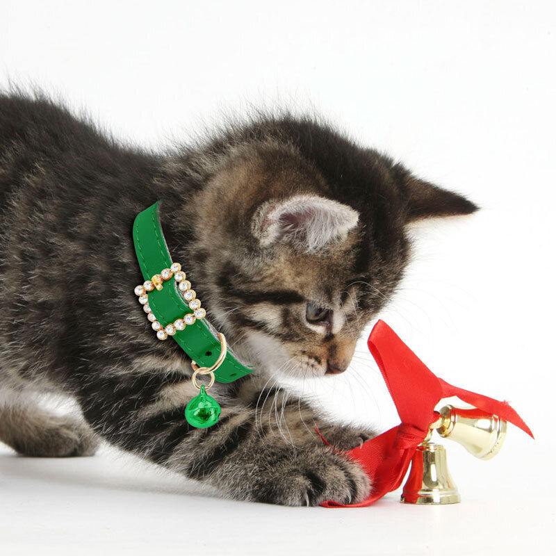 Bling Cat Kitten Collar Rainbow Rhinestone Breakaway Diamond with Bell