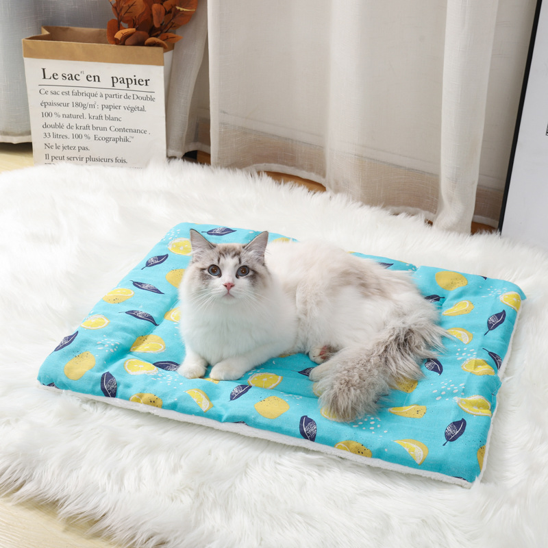 Soft Flannel Thickened Pet Pad Pet Blanket Bed Mat for Puppy Dog Cat Sofa Double Side Cushion