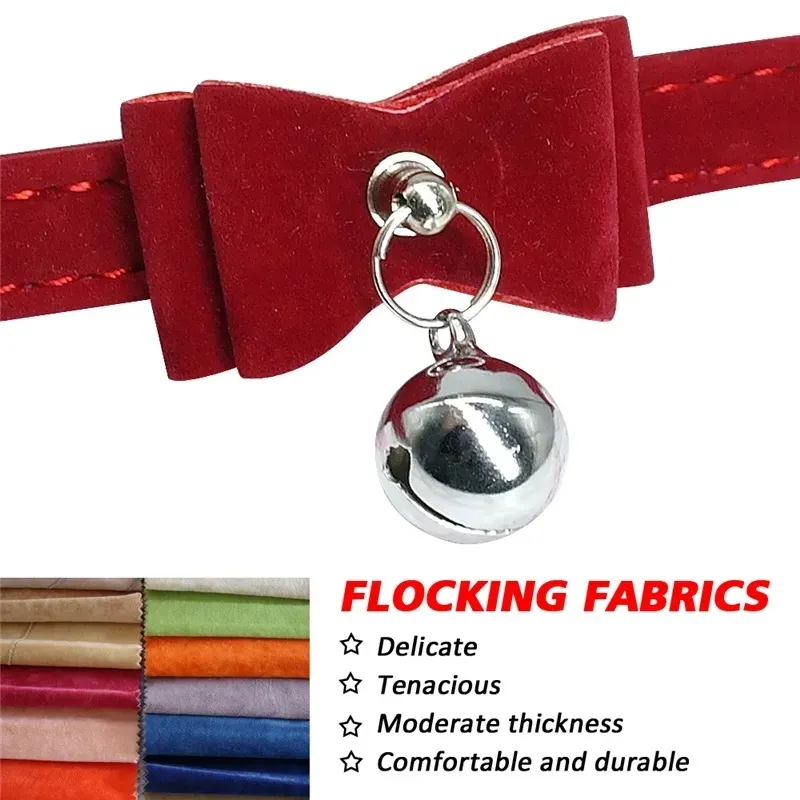 Pet Collar Product View 4