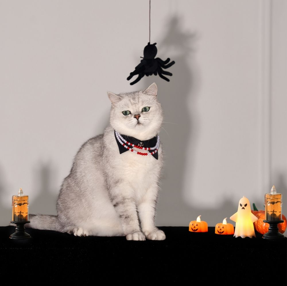 Fashion Pearl Halloween Style Pet Dog Collar Lovely Dog Cat Necklace Pet Accessories Supplies