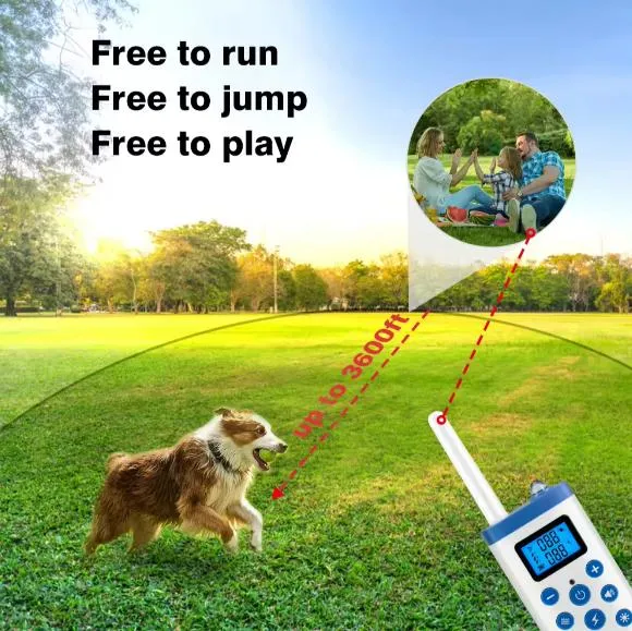 Pet Trainer Detail 4