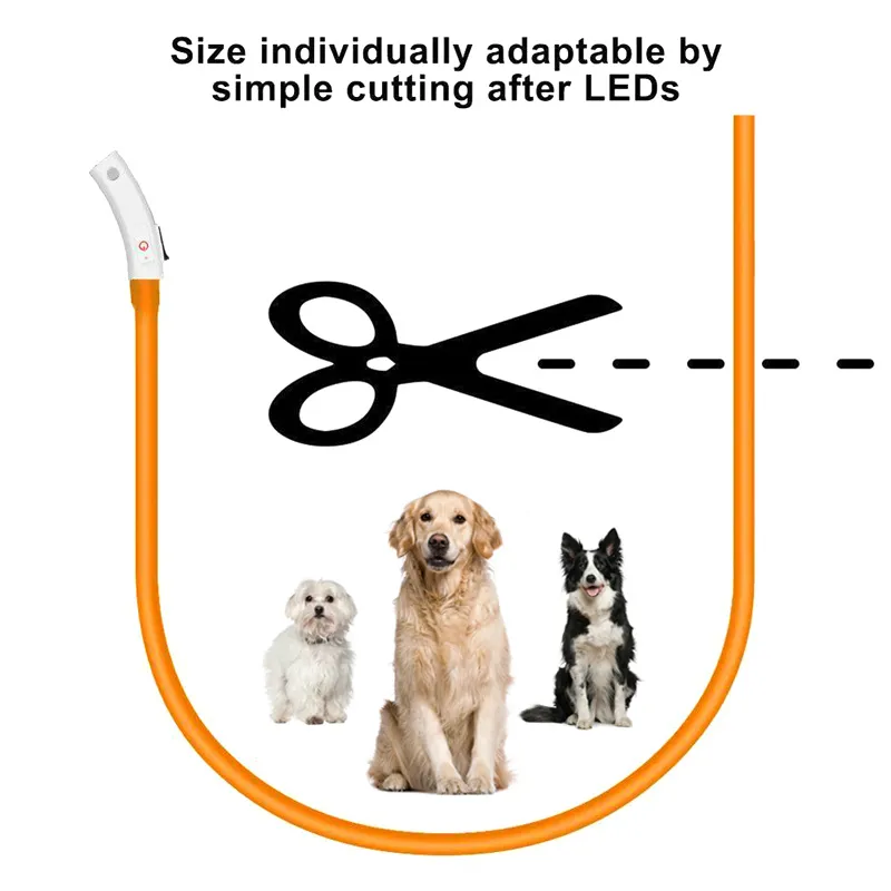 Rechargeable LED Dog Collar 2