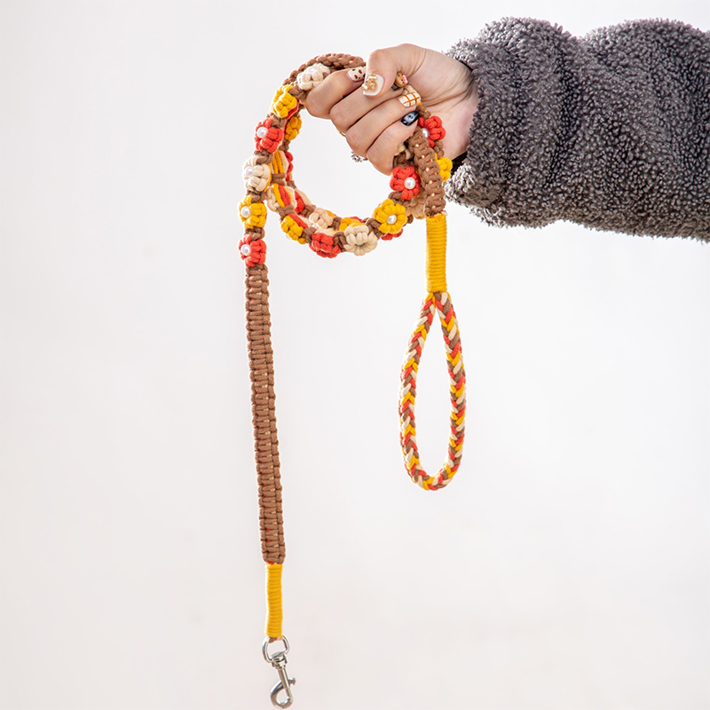 New Design Fashion Color Design Flower Leash Pet Leash Dog Collar