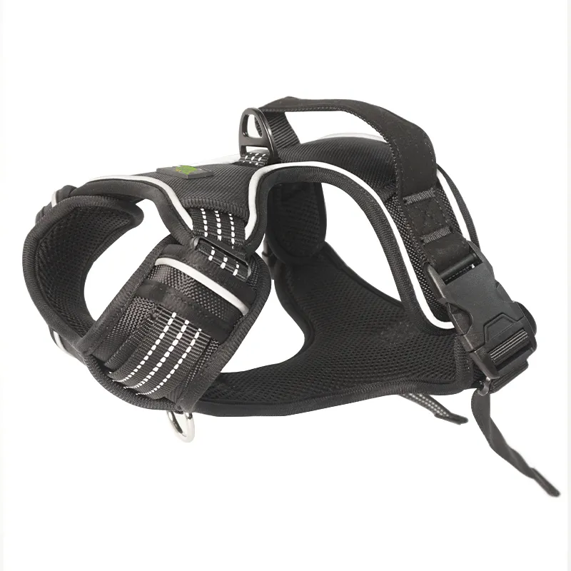 Night Reflective Harness
