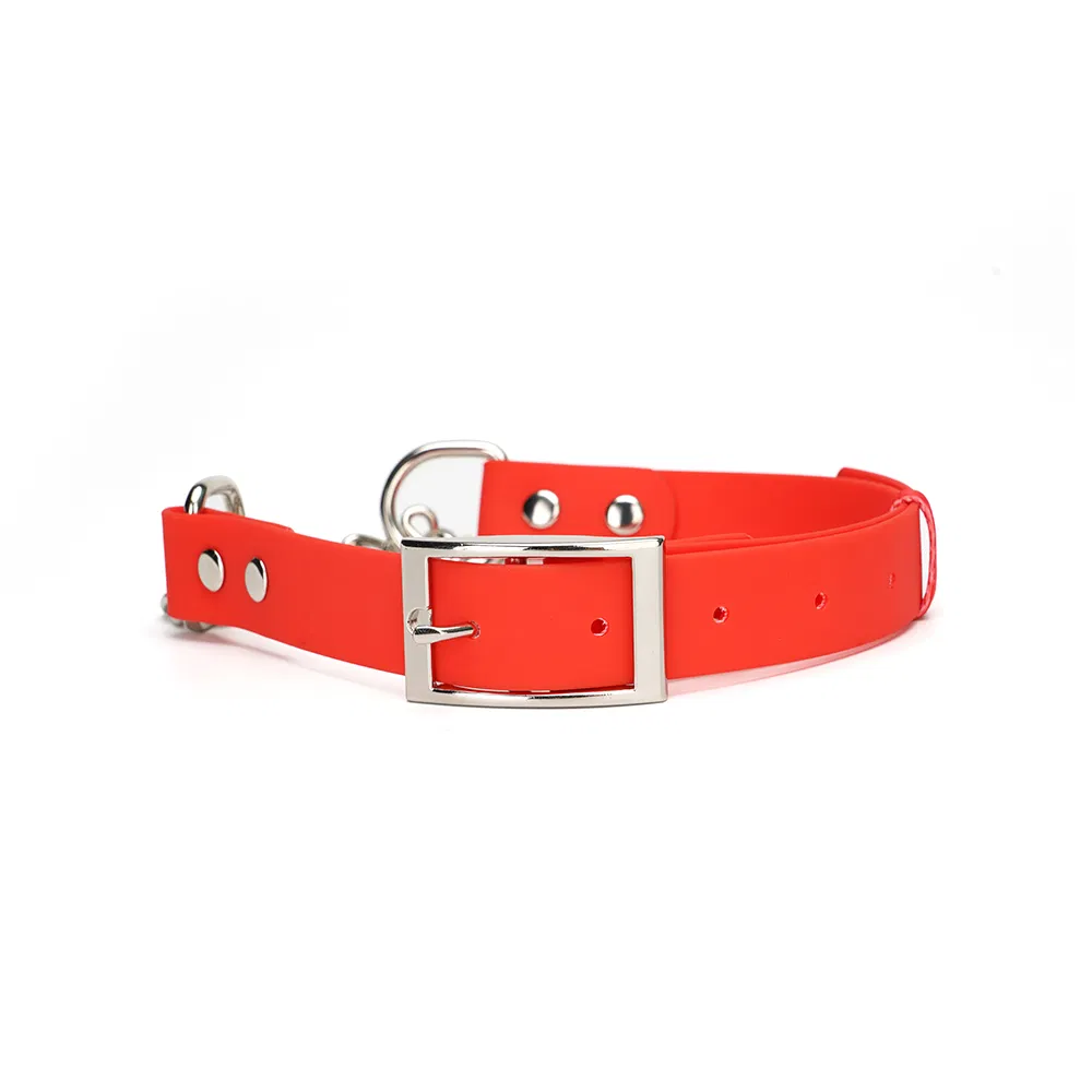 Adjustable Dog Collar 6