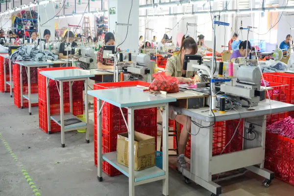 Custom Pet Accessories Sample 2