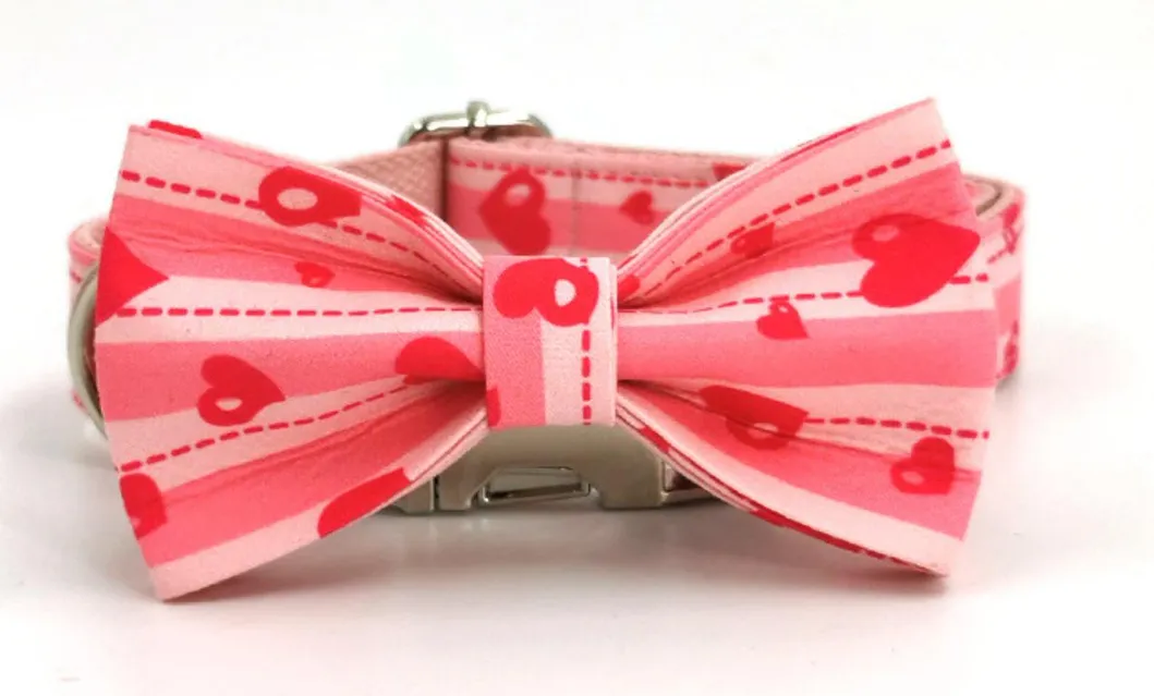 Dog Dots Bowknot Collar 4