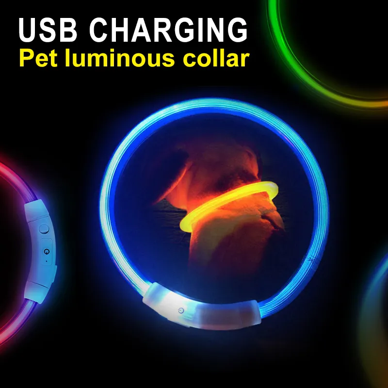 Rechargeable LED Dog Collar 11