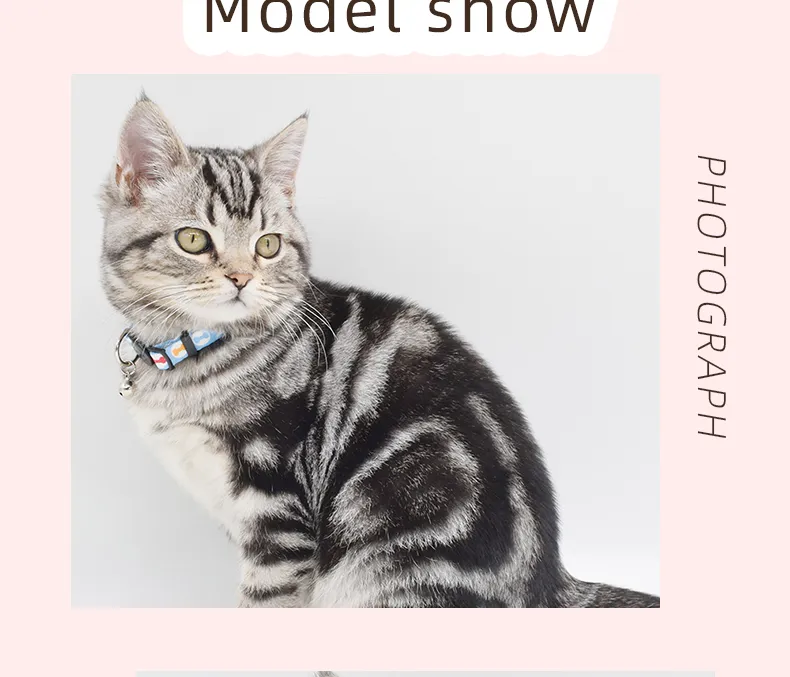 Cat Collar Pattern 9