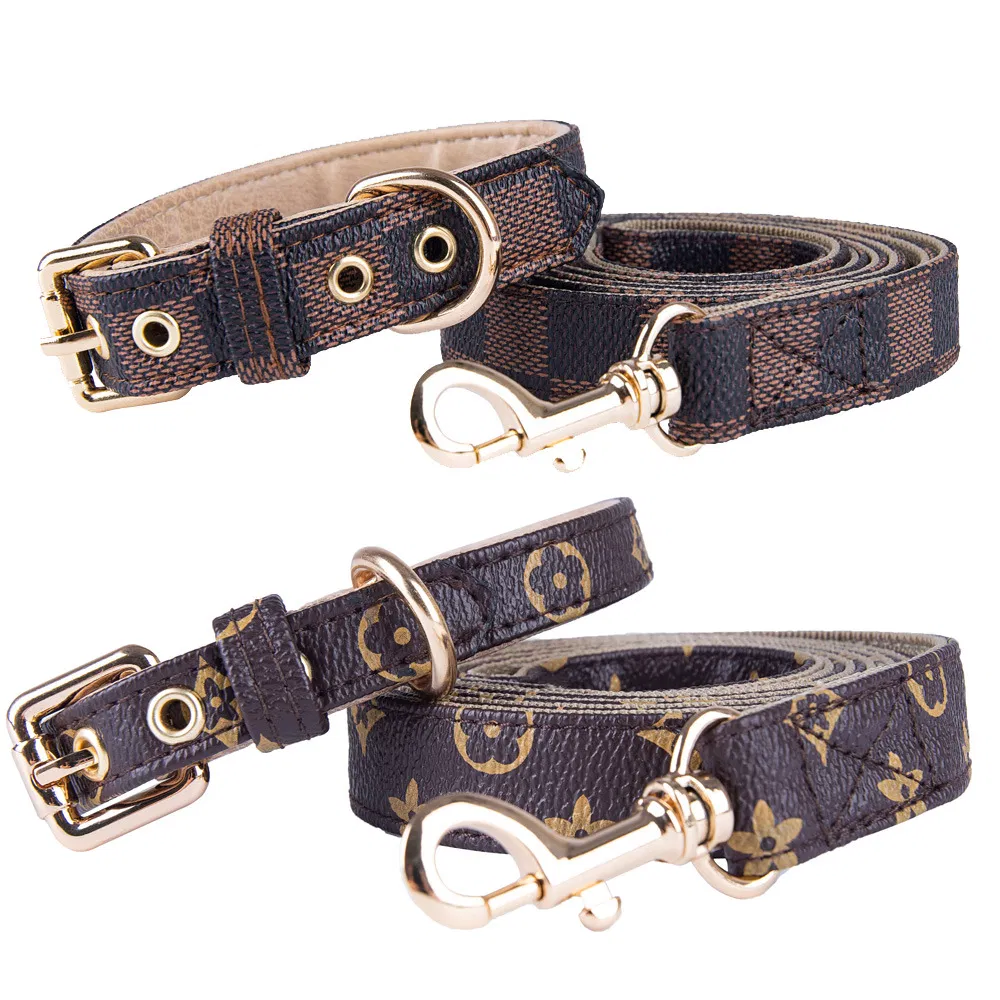 Pet Harness Set 5