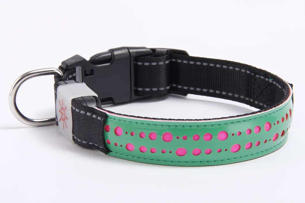 Rechargeable LED Dog Collar