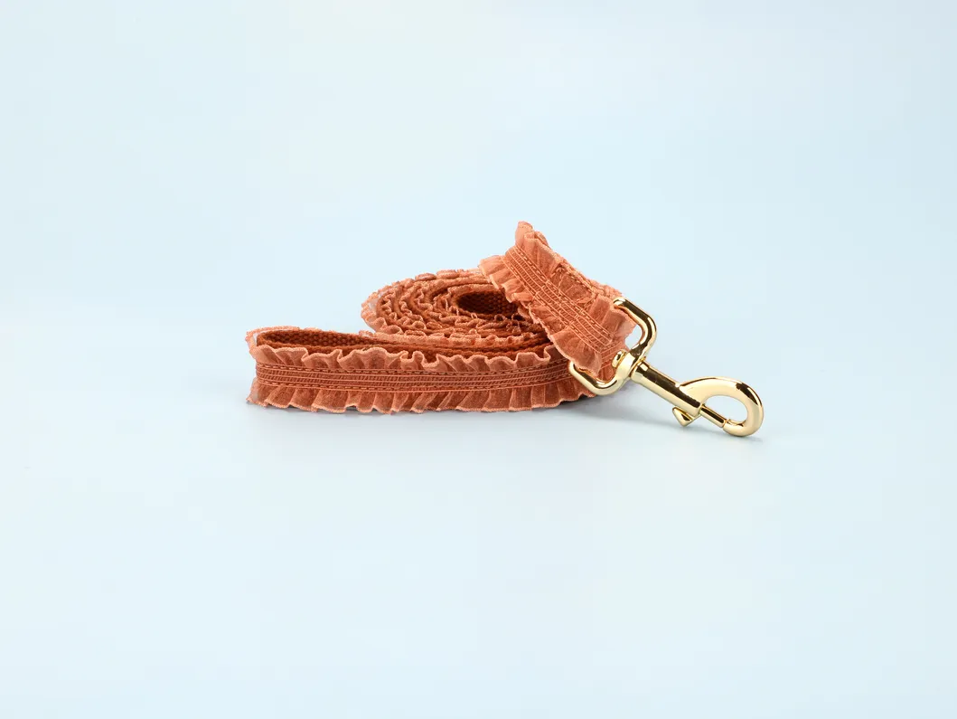 Lace Dog Collar Detail 6