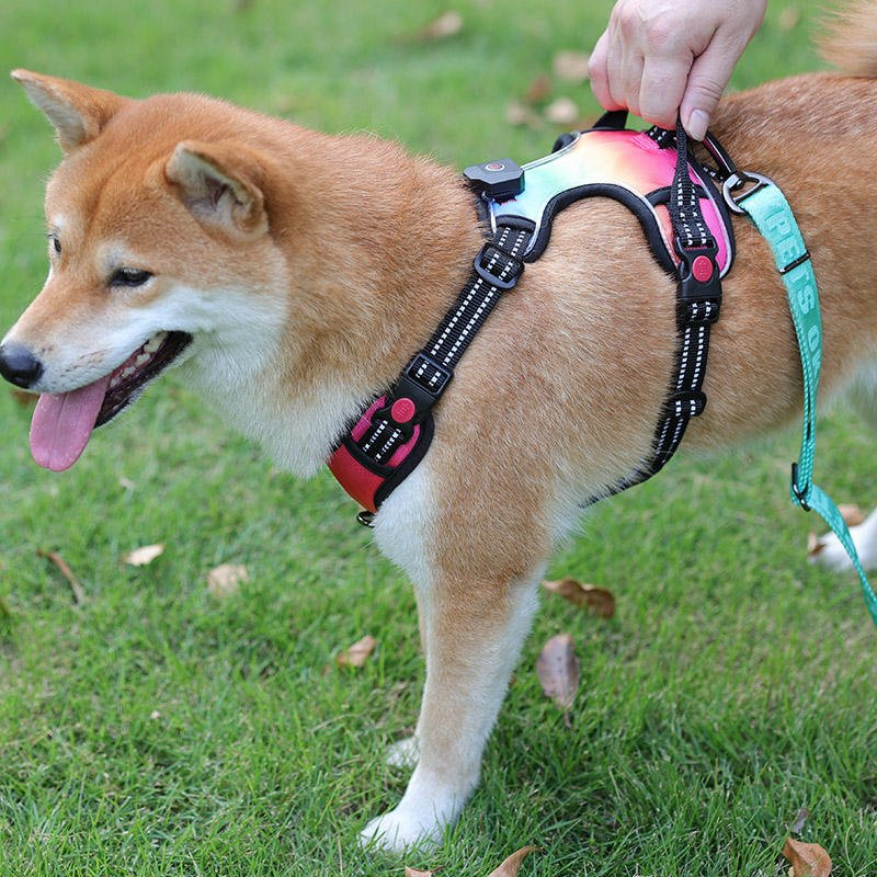 Custom Logo LED Dog Harness, USB Rechargeable No Pull Reflective Heavy Duty Dog Vest for Large Dogs, Light up Safety Pet Harness OEM/ODM