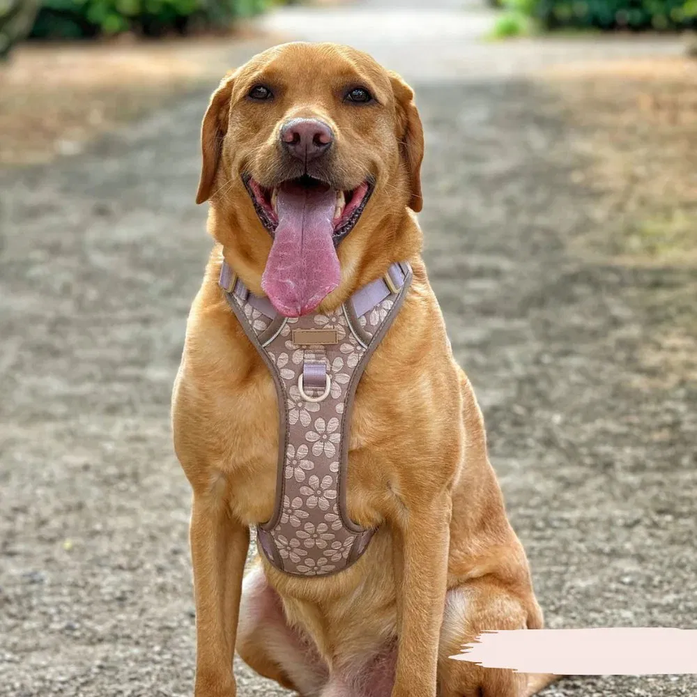 Soft Padded Durable Adjustable Mocha Flower Dog Harness No Pull Fashion Jacquard Fabric Pet Harness for Running Hiking