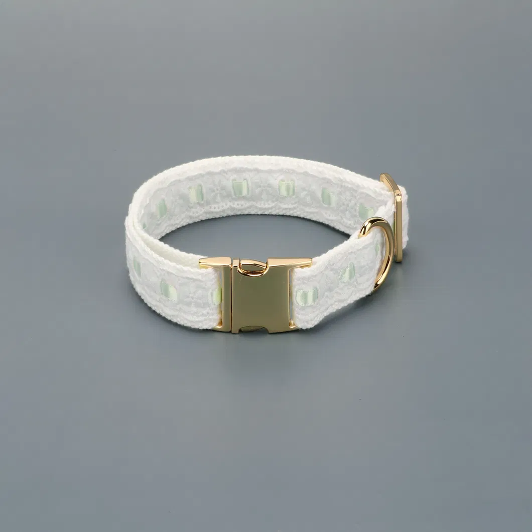 Lace Dog Collar Detail 2