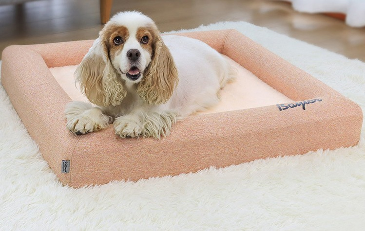 Calming Cat Custom Soft Orthopedic Sofa Bed for Pet Dog Sleeping