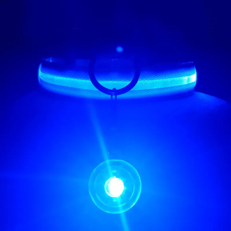 LED Collar Detail 14