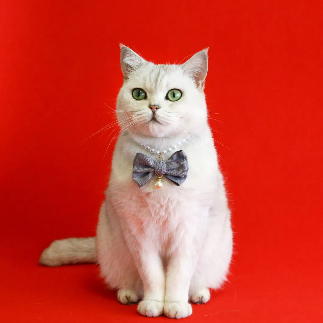 Pearl Collar Detail 5