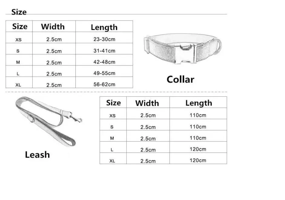 Dog Collar Collection 1