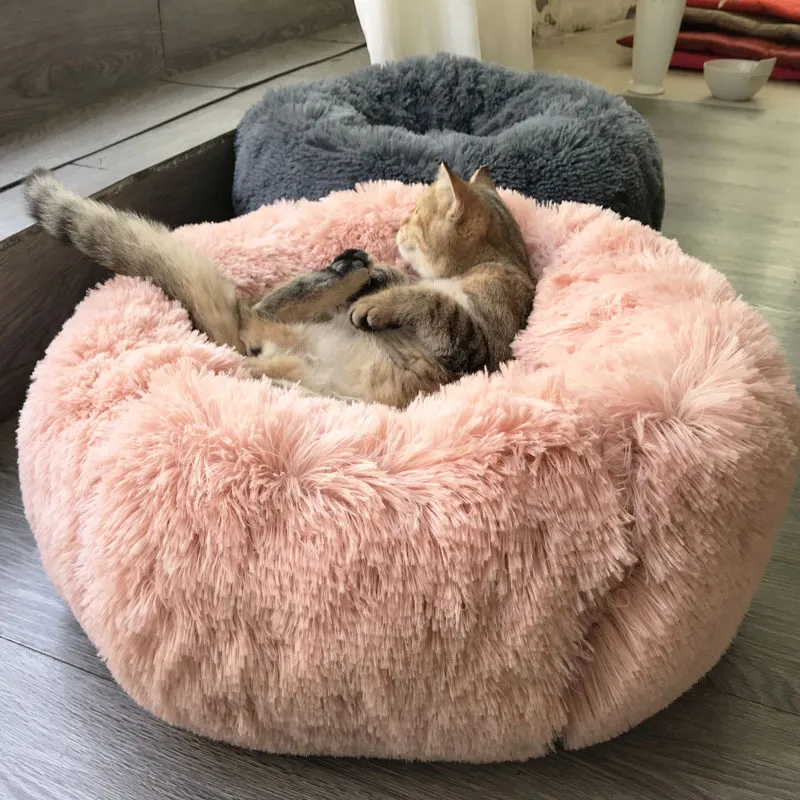 Pet Bed 9