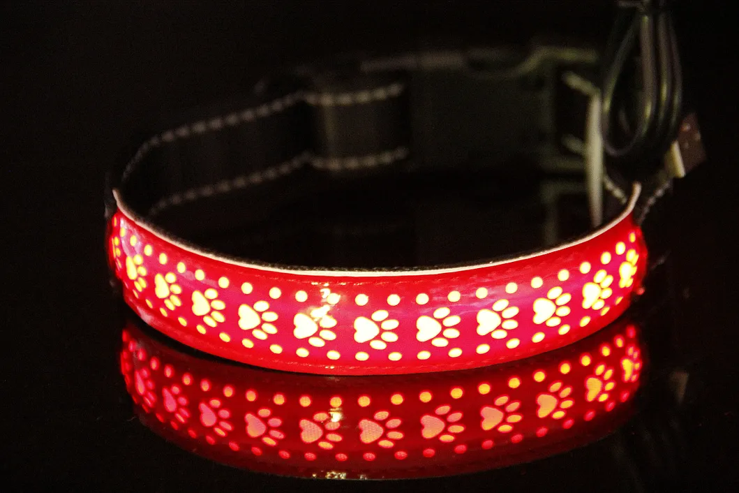 Luminous Dog Accessories