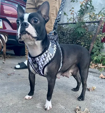 Production Detail 12