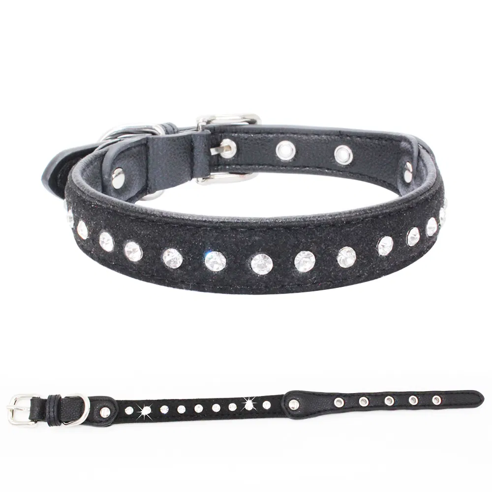 Dog Collar View 2