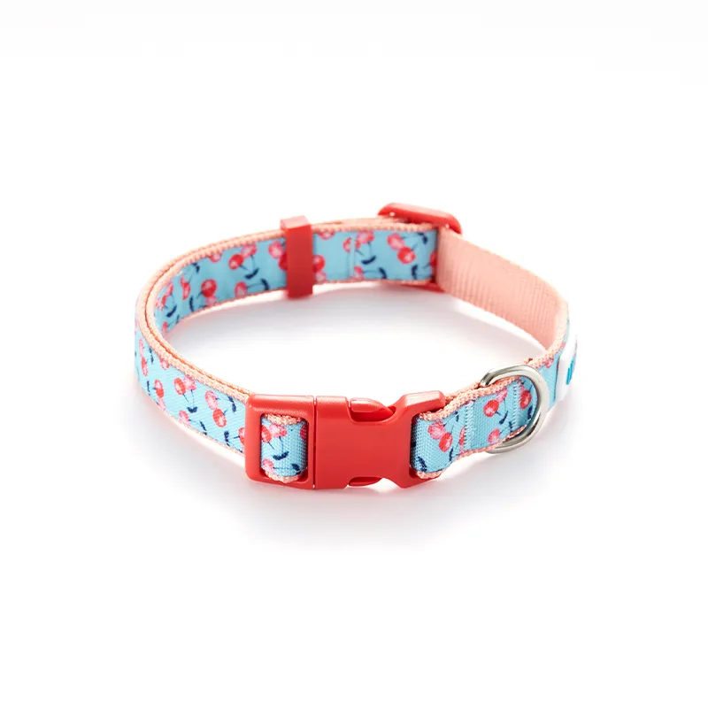 Pet Collar View 1