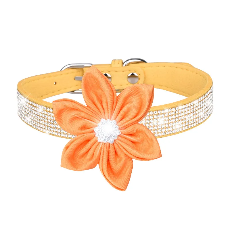 Pet Collar Detail 18