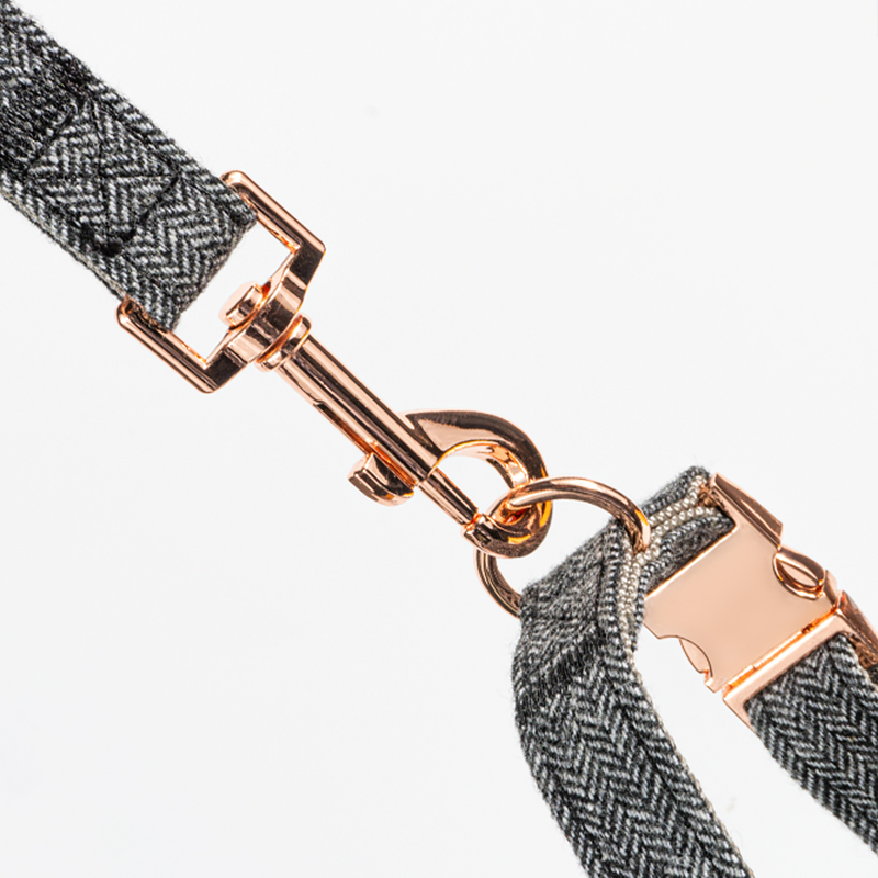 Hot Sale Rose Gold Buckle Clip Custom Color Pet Collar in Stock Adjustment Size Dog Collar and Leash Set