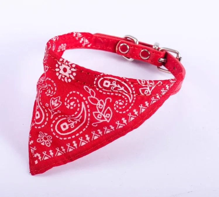 Pet Triangle Scarf View