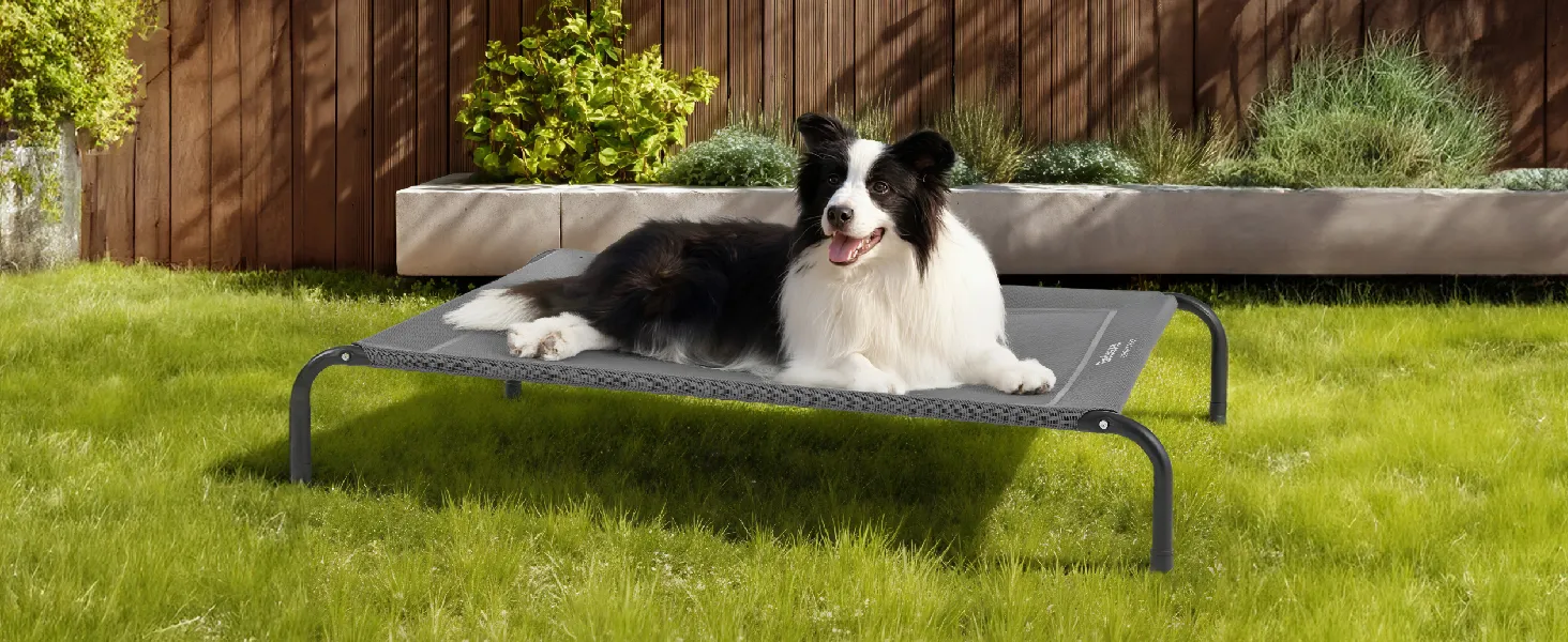 Elevated Dog Bed 2