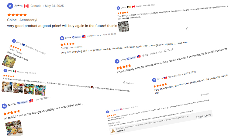 Customer Reviews