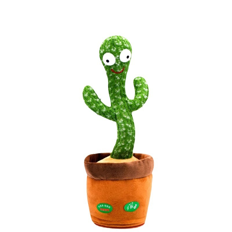 Cactus Detail 2