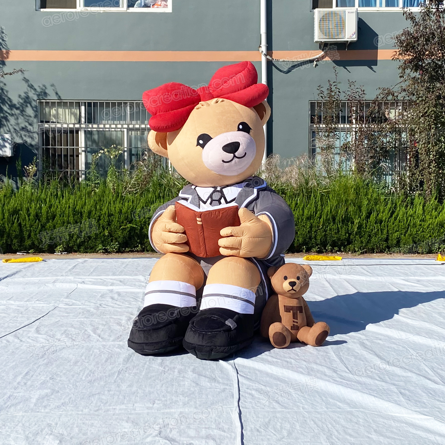 Custom Inflatable