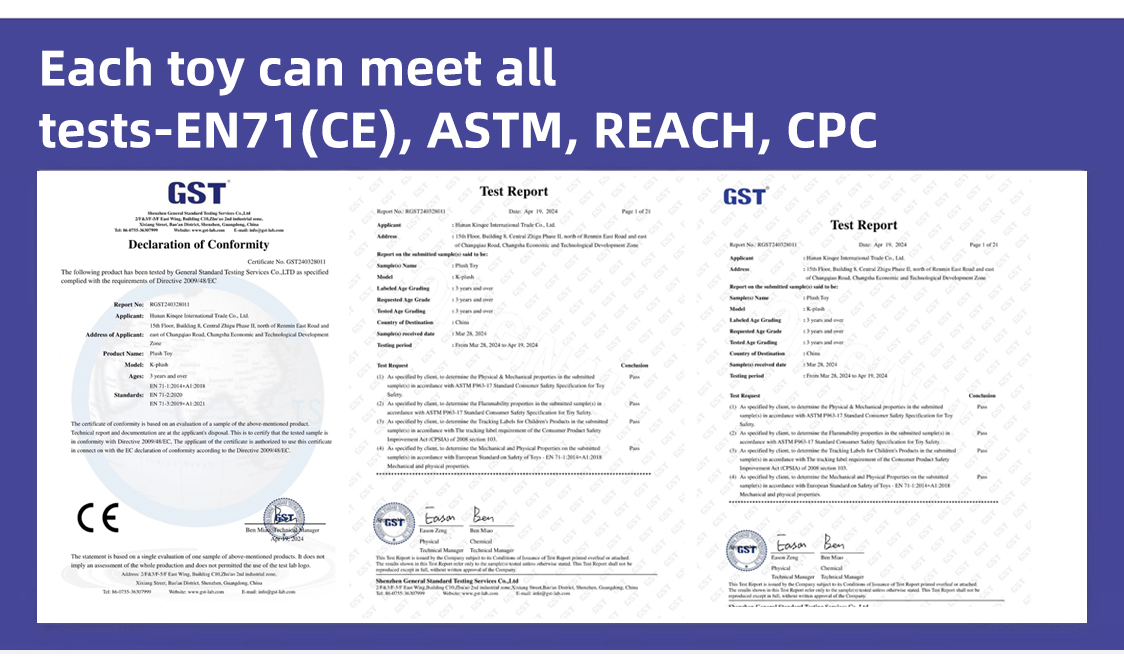 Standards Certification