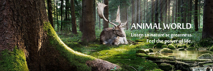Animal Costume Banner