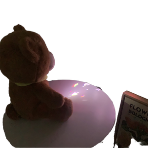 Cute Teddy Bear Light-Up Color-Changing Starlight Projection Educational PP Cotton Plush Toy with 3 AAA Battery for Kids' Gift