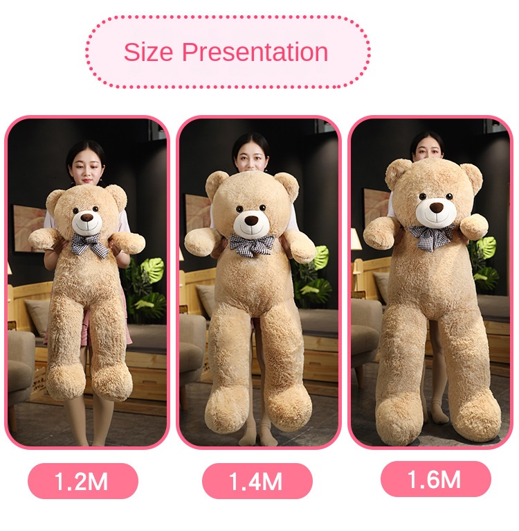 Teddy Bear Features
