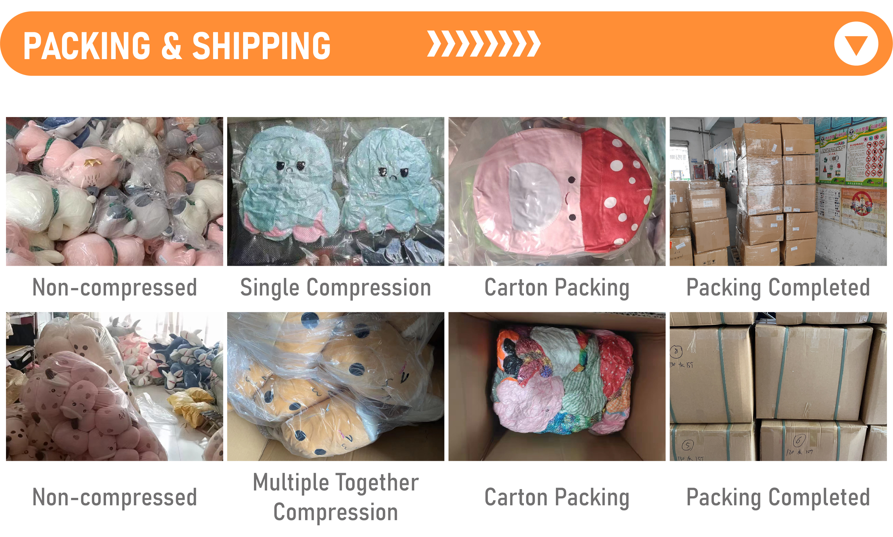 Packaging Standard