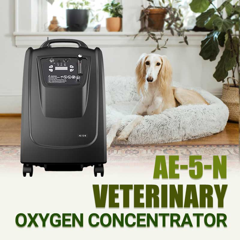 Aerti 5L Vet Oxygen Therapy Machine Concentrator for Pet Hospital Veterinary Clinic Equipment