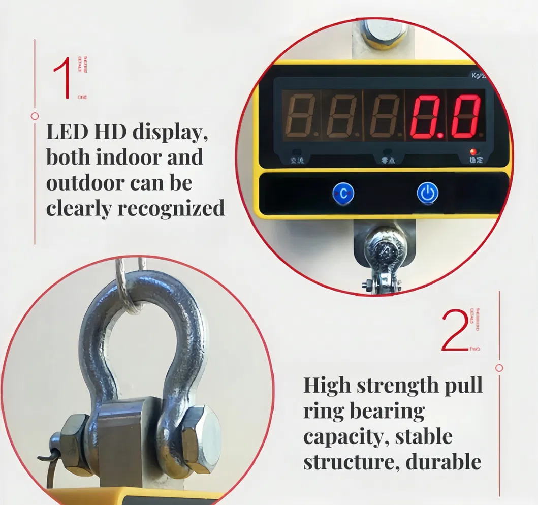 Crane Scale Detail 2