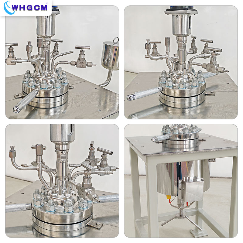 Customized 1L Stainless Steel Autoclave for High Pressure Lab Use