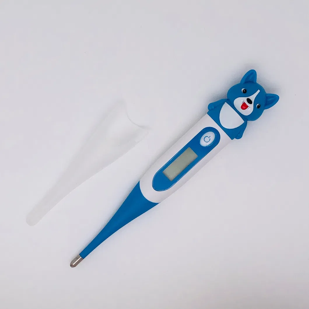 Digital Thermometer View 2